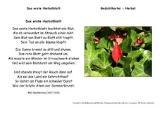 Das-erste-Herbstblatt-Dauthendey.pdf